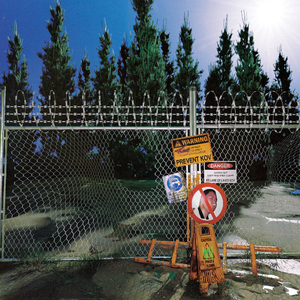 欧美夜夜肉肉性交
