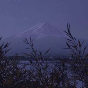 欧美夜夜肉肉性交
